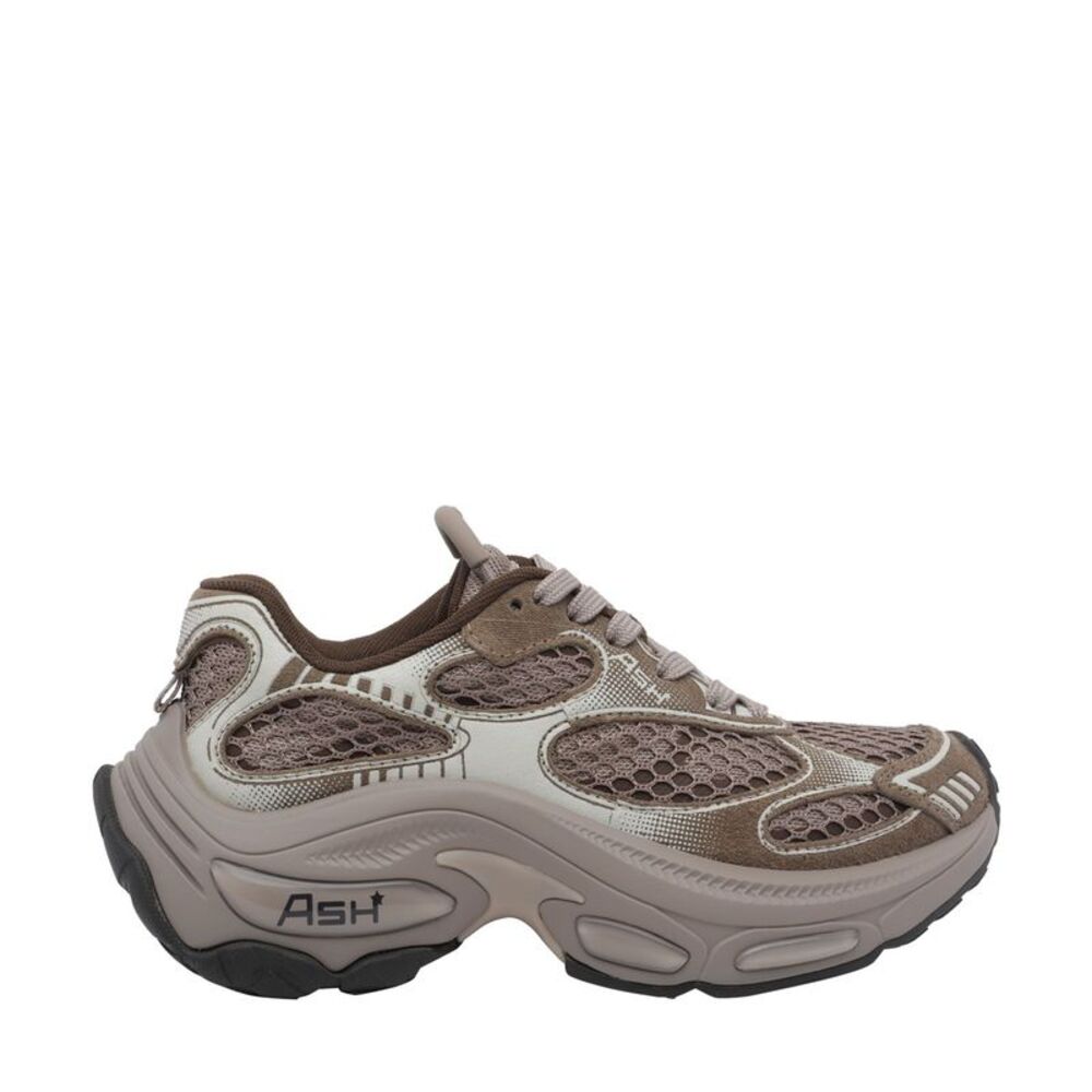 Ash Women Dragon Sneakers